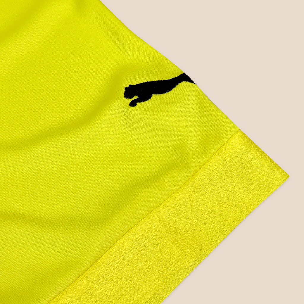 Borussia Dortmund 2012/13 Local