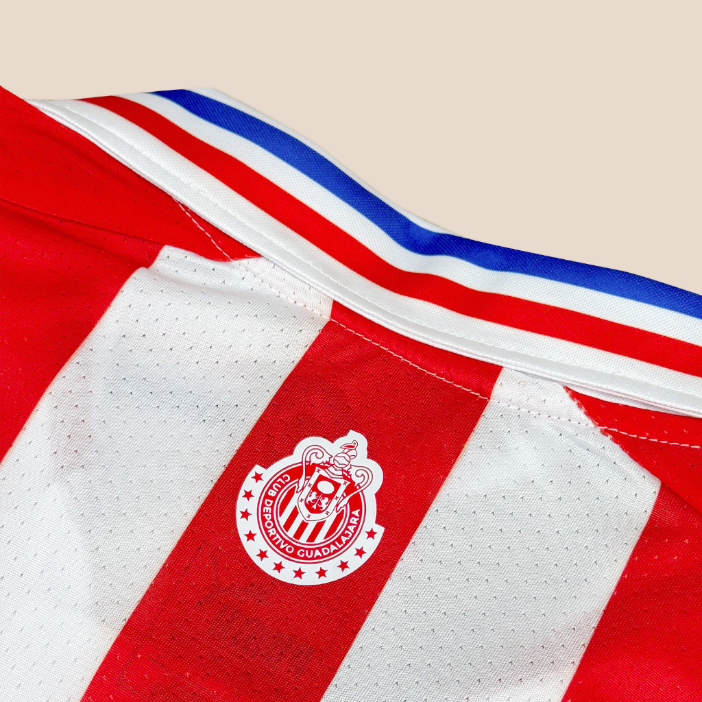 Chivas 110 Años