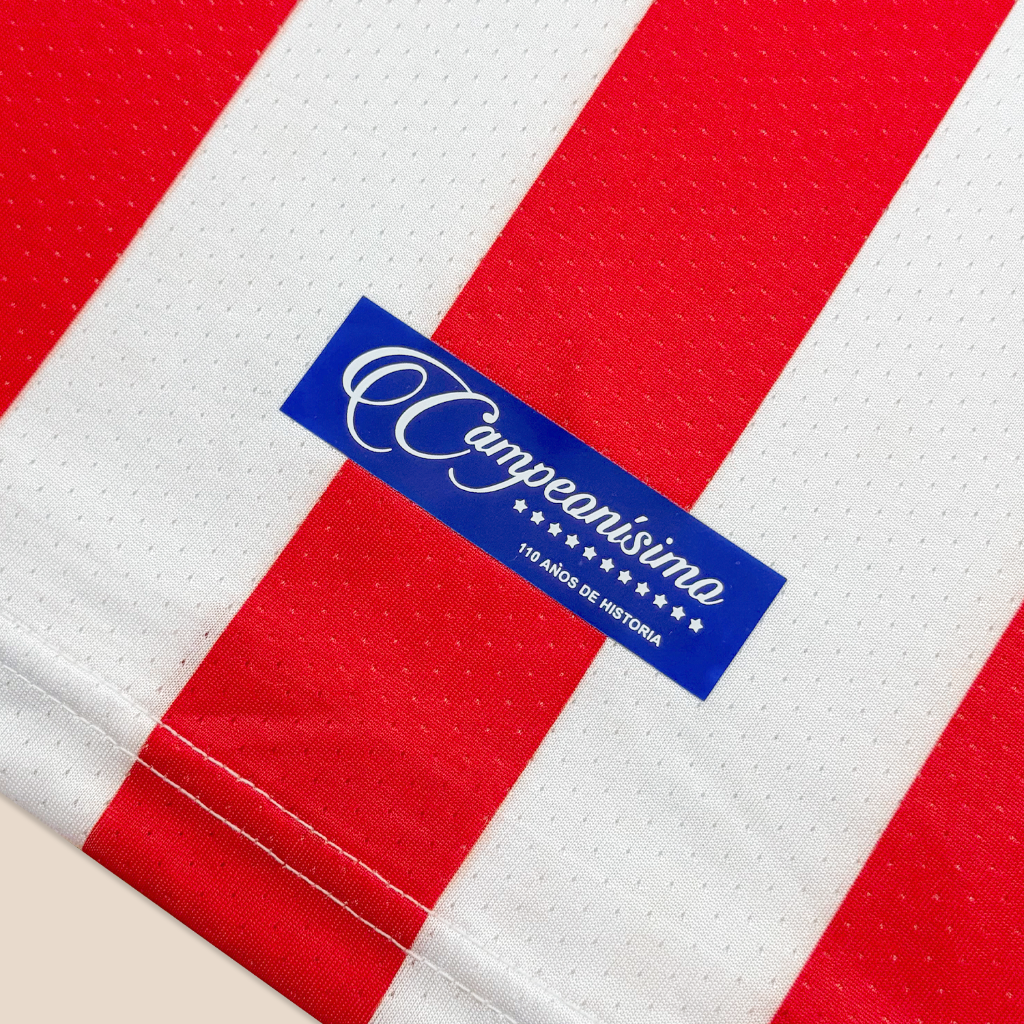 Chivas 110 Años