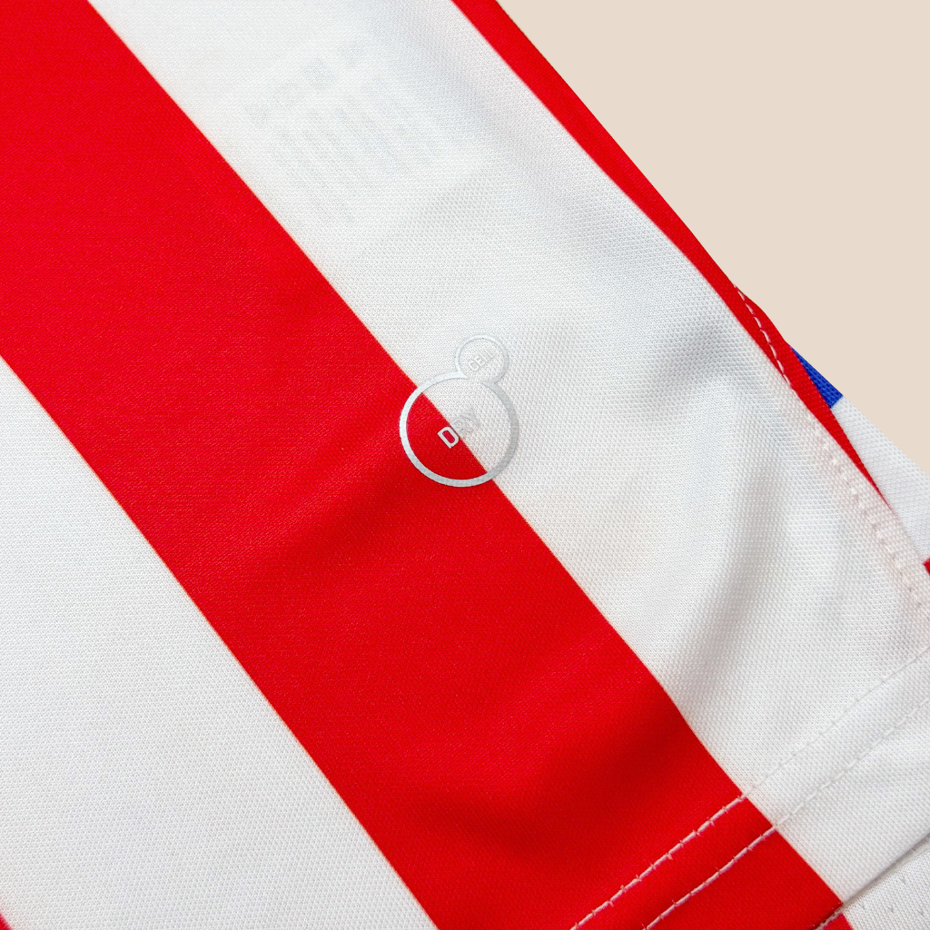 Chivas 110 Años