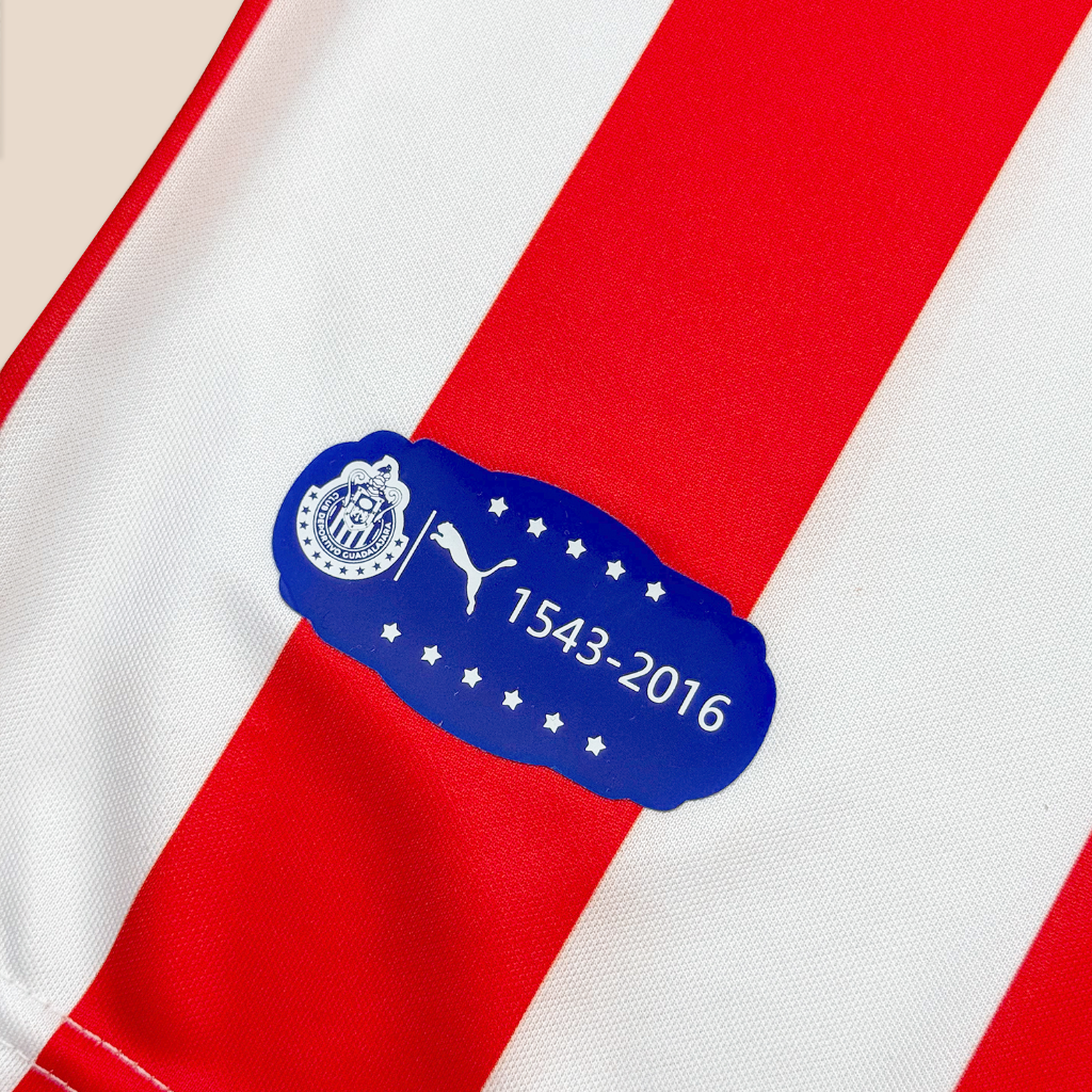 Chivas 110 Años