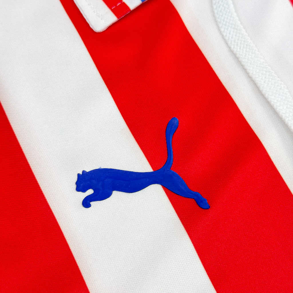 Chivas 110 Años