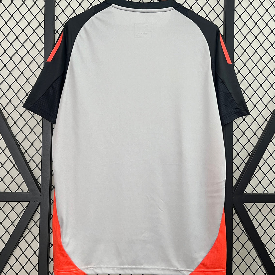 Jersey 2024/25 Benfica Especial Manga corta Versión Fan