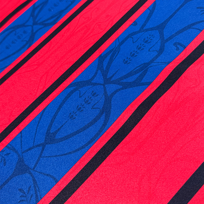 FC Barcelona 125 Años