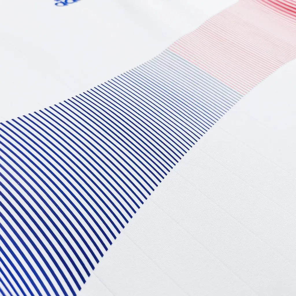 Francia 2006 Visitante Jersify